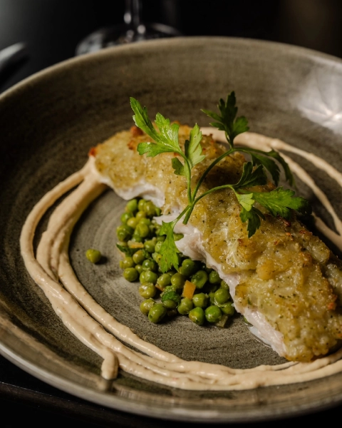 Le midi au Plan B : une nouvelle énergie culinaire aux Brotteaux