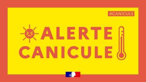 Alerte canicule : Quatre départements en vigilance rouge, 49 en orange selon Météo-France"